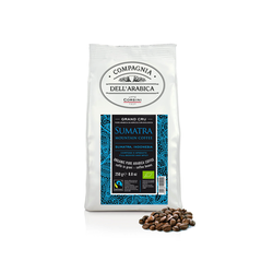 Sumatra Bio • 250 г • Corsini • Зерновой